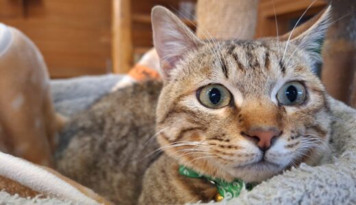 ノンタンくんと一緒