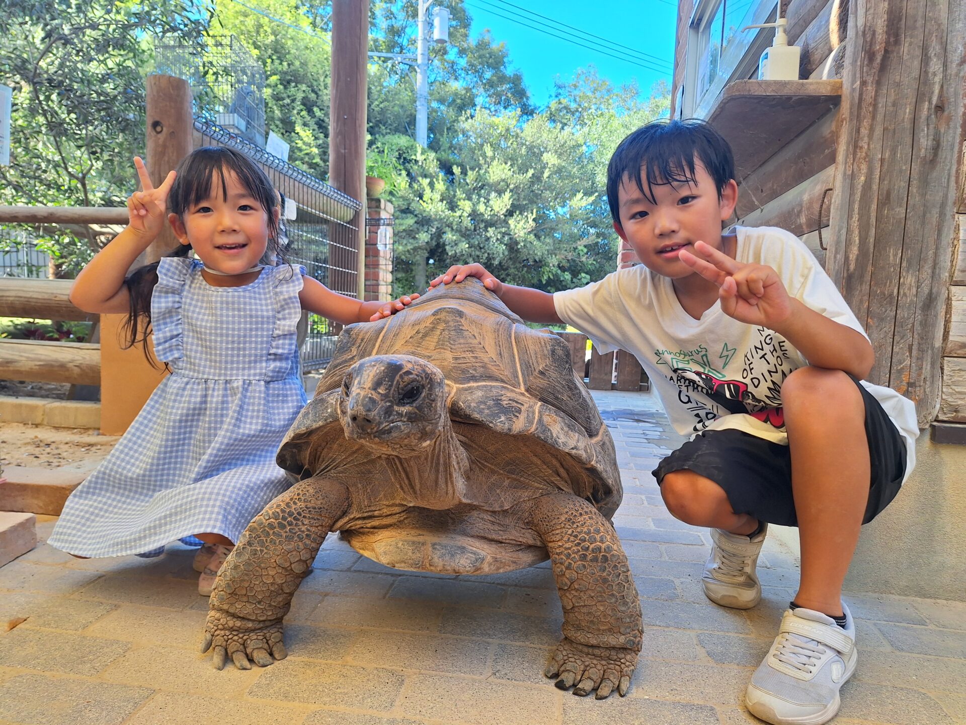 見つけたよ カブトムシ | 渋川動物公園