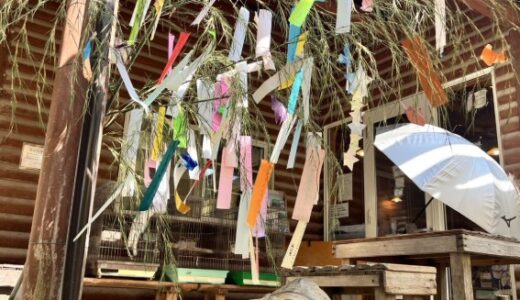 笹の葉さらさら☆